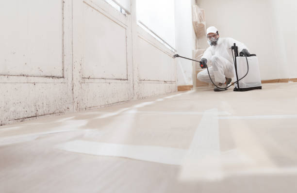 24/7 Emergency Attic Mold Removal experts in Lockport, IL